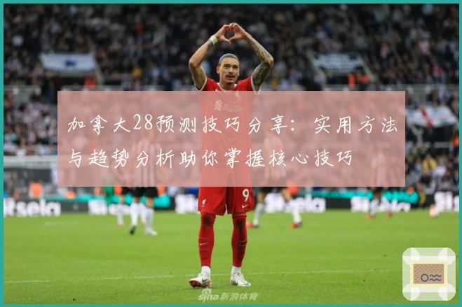 加拿大28预测技巧分享：实用方法与趋势分析助你掌握核心技巧