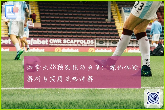 加拿大28预测技巧分享：操作体验解析与实用攻略详解