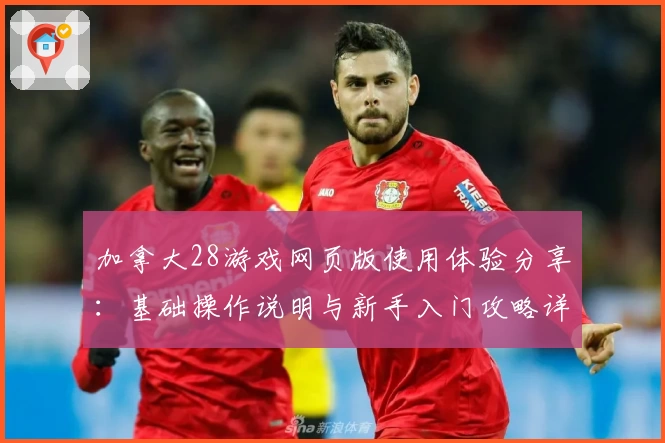 加拿大28游戏网页版使用体验分享：基础操作说明与新手入门攻略详解