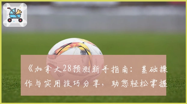 《加拿大28预测新手指南：基础操作与实用技巧分享，助您轻松掌握核心功能》