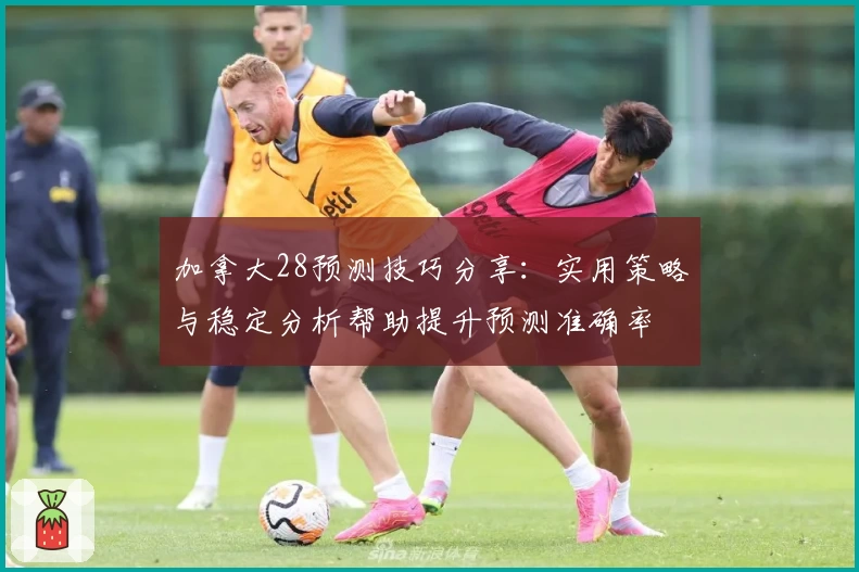 加拿大28预测技巧分享：实用策略与稳定分析帮助提升预测准确率