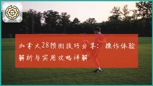 加拿大28预测技巧分享：操作体验解析与实用攻略详解