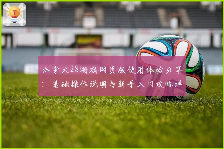 加拿大28游戏网页版使用体验分享：基础操作说明与新手入门攻略详解