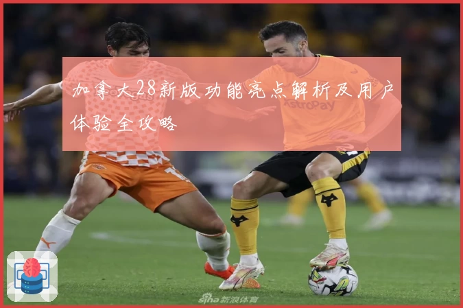 加拿大28新版功能亮点解析及用户体验全攻略