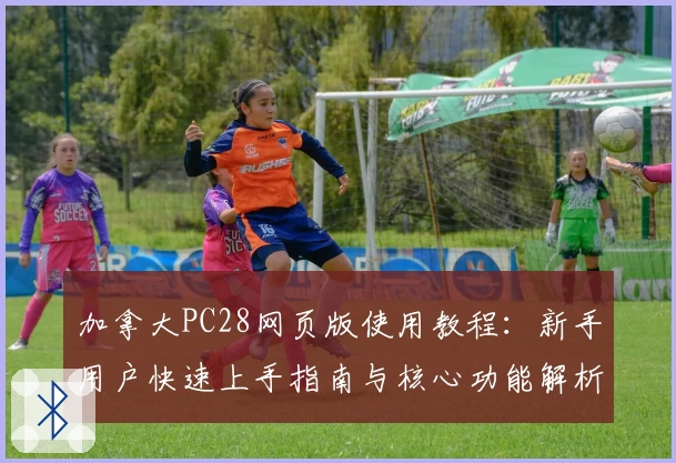 加拿大PC28网页版使用教程：新手用户快速上手指南与核心功能解析