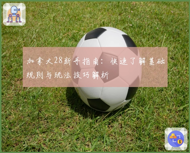 加拿大28新手指南：快速了解基础规则与玩法技巧解析