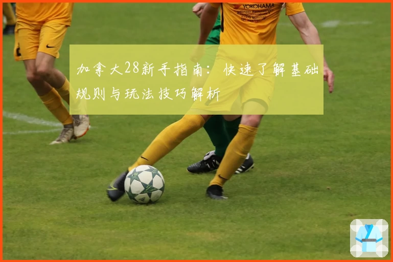 加拿大28新手指南：快速了解基础规则与玩法技巧解析