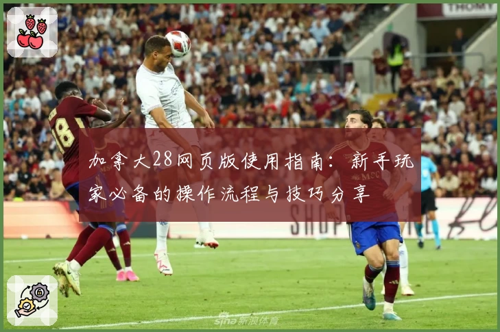 加拿大28网页版使用指南：新手玩家必备的操作流程与技巧分享