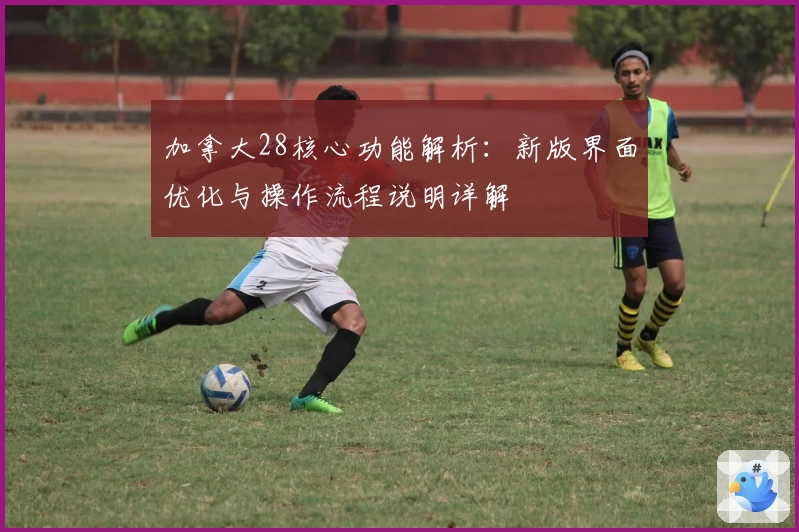 加拿大28核心功能解析：新版界面优化与操作流程说明详解